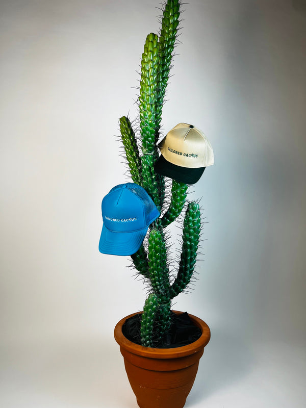 Tailored Cactus blue and tan trucker hats