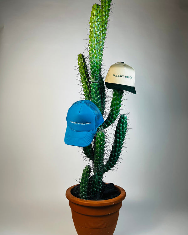Tailored Cactus blue and tan trucker trucker hats